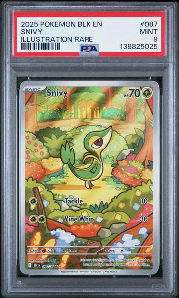 Snivy 2025 Pokemon Blk En-Black Bolt Illustration Rare #087 PSA 9-1