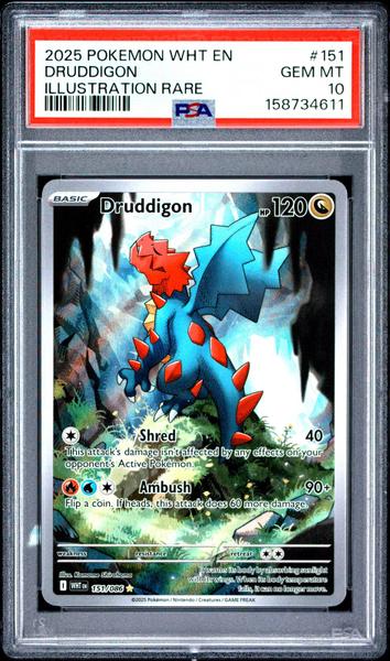 Druddigon 2025 Pokemon Wht En-White Flare Illustration Rare #151 PSA 10