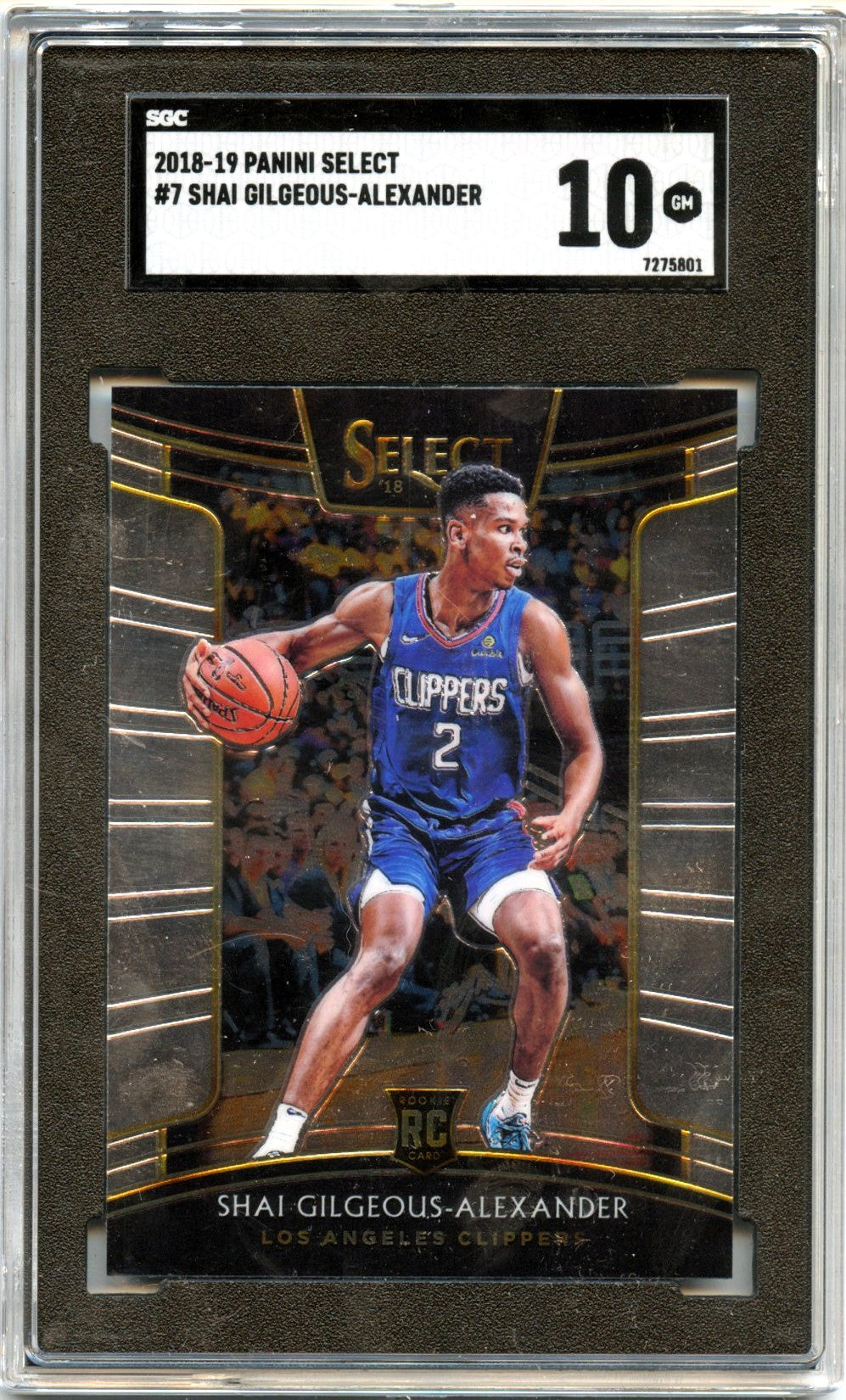 Shai Gilgeous-Alexander RC 2018-19 Panini Select Concourse Rookie #7 SGC 10
